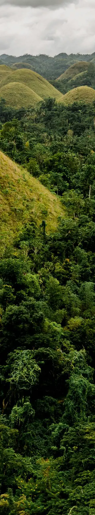 Zwischen den «Schokoladehügeln» auf Bohol